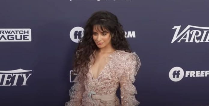 Camila Cabello WORRIED Shawn Mendes â€œDidnâ€™t Love Me Backâ€